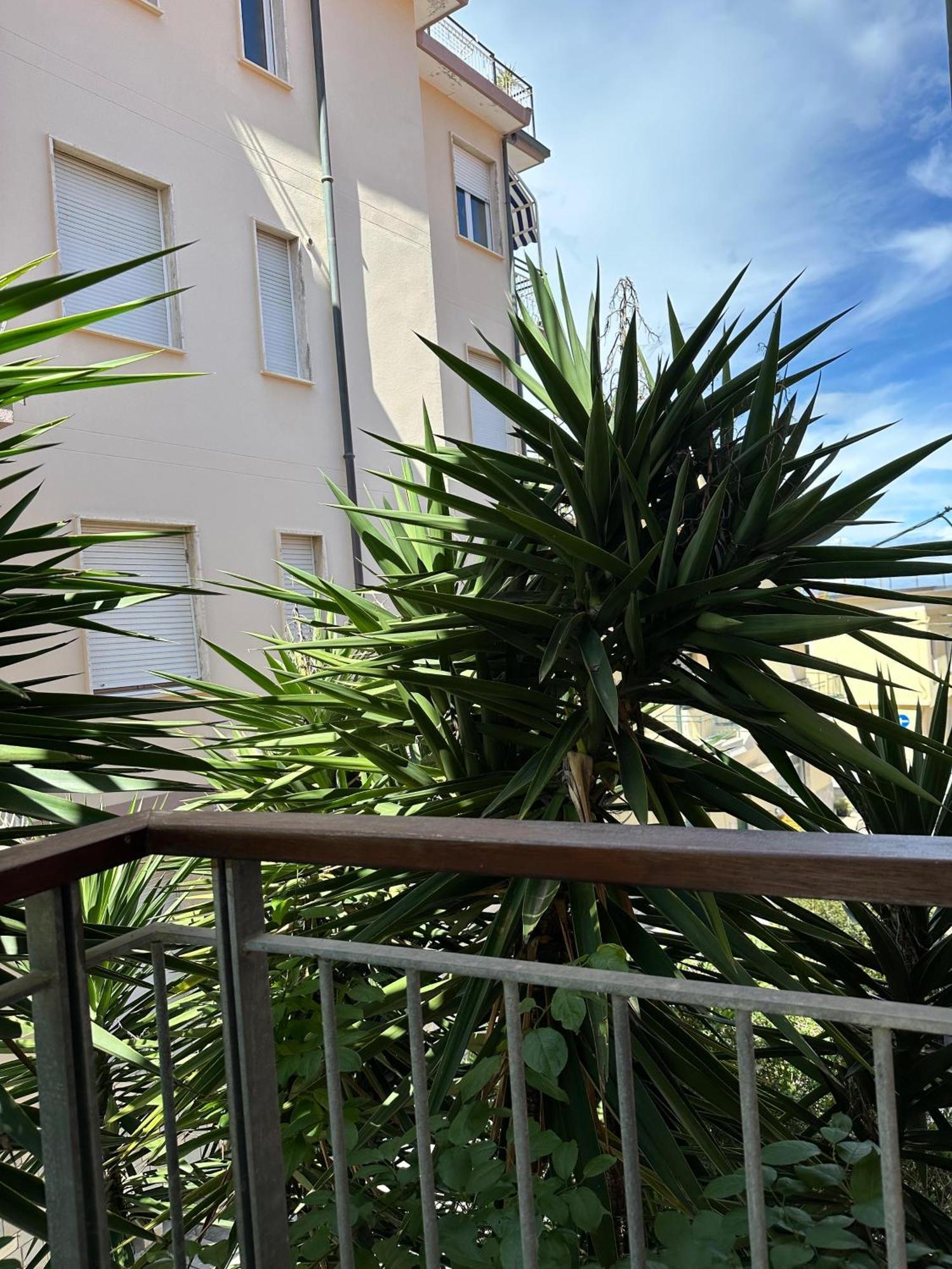 Mambo Laigueglia